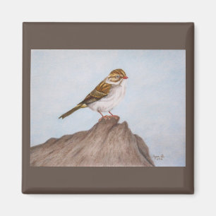 Eye on the Sparrow Magnet