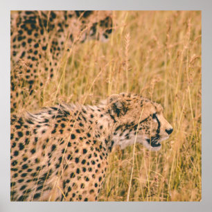 EYE ON THE TARGET - LEOPARD ANIMALS PHOTO POSTER