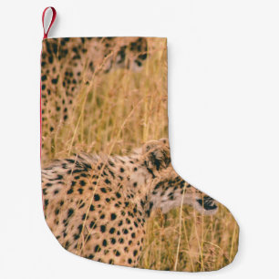 EYE ON THE TARGET - LEOPARD ANIMALS PHOTO SMALL CHRISTMAS STOCKING