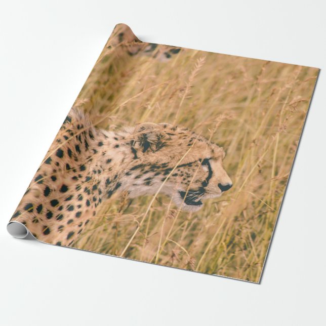 EYE ON THE TARGET - LEOPARD ANIMALS PHOTO WRAPPING PAPER (Unrolled)