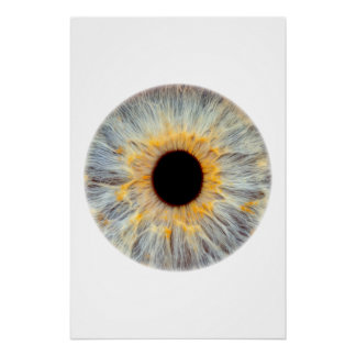Eye Poster