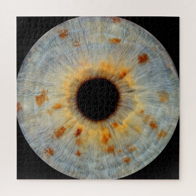 Eye Puzzle (Vertical)