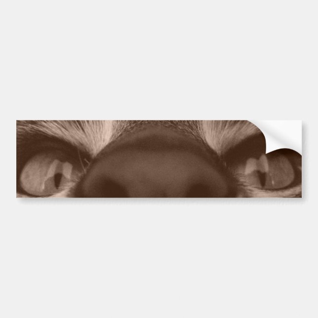 eye see you bumper sticker (Front)