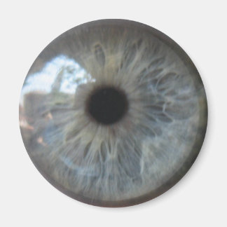 Eye See You Fridge Magnet