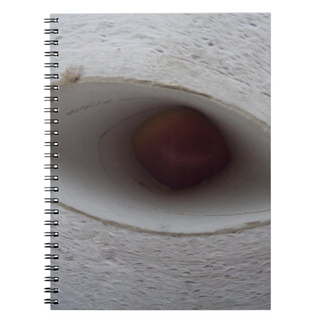 eye shaped hole, made of paper notebook (Front)