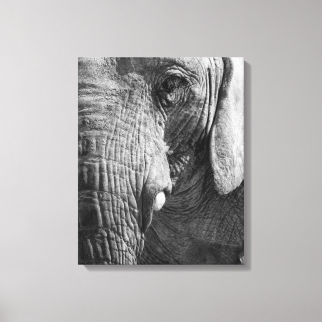 Eye Spy Canvas Print (Front)