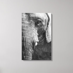 Eye Spy Canvas Print
