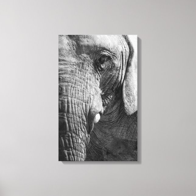 Eye Spy Canvas Print (Front)