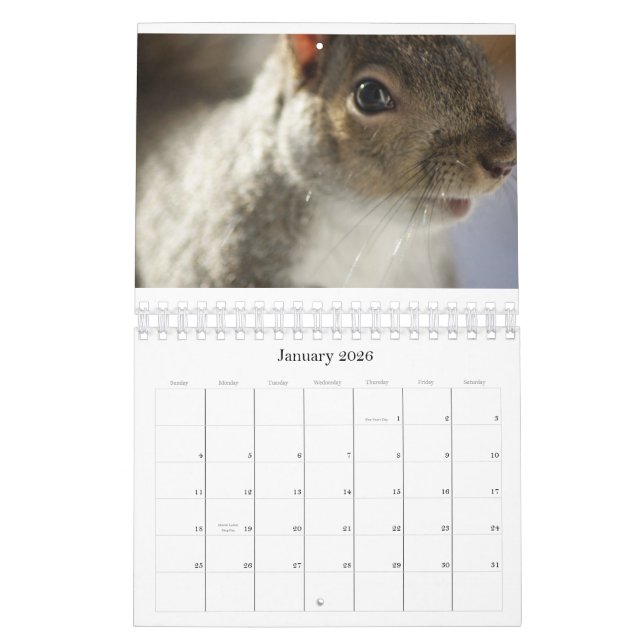 Eye Spy Photo Calendar (Jan 2026)