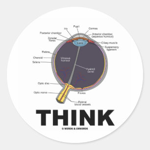 Eye Think (I Think Anatomical Eye Humour) Classic Round Sticker