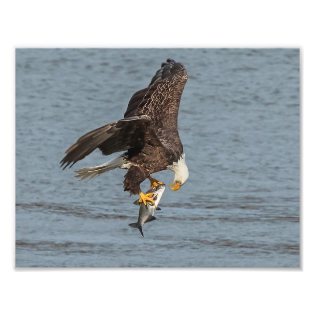 Eye To Eye Photo Print (Front)