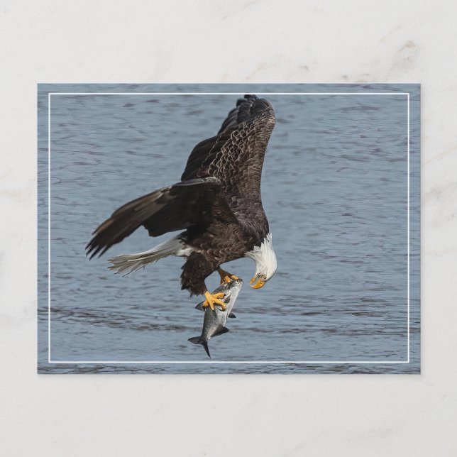 Eye To Eye Postcard (Front)