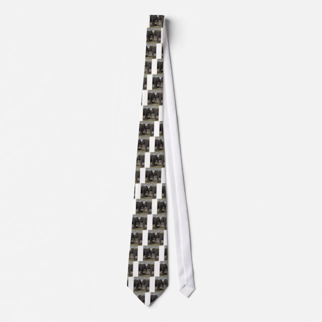 Eye to Eye Woodcut Tie (Front)