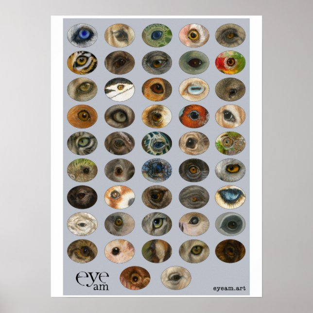 EyeAmArt Collection of Endangered Animal Eyes Poster (Front)