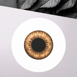Eyeball brown iris eye funny prank joke novelty classic round sticker