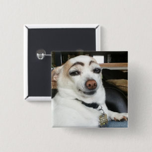 Eyebrow Dog Meme Pin Button