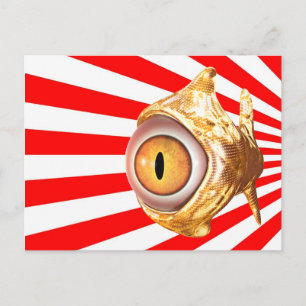 eyefish postcard