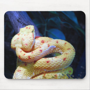 Eyelash Viper Mouse Mat