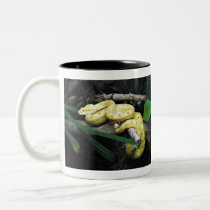 Eyelash Viper Two-Tone Coffee Mug