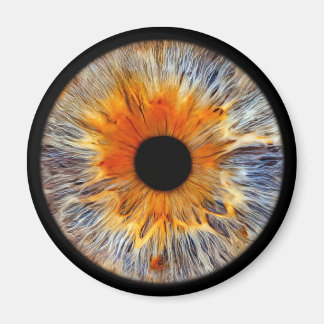 Eyepic Iris Magnet