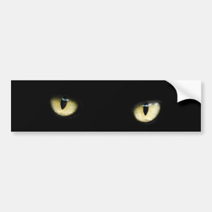 eyes-218185 eyes cat black staring yellow dark bumper sticker