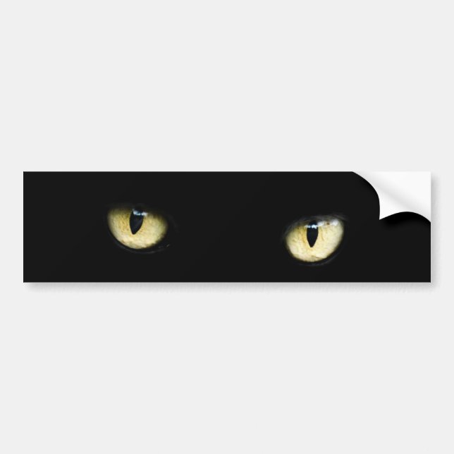 eyes-218185 eyes cat   black  staring yellow  dark bumper sticker (Front)