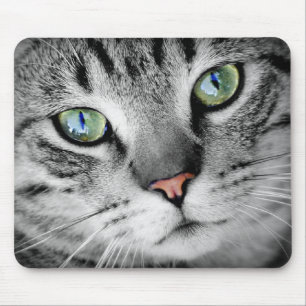 Eyes cat mouse mat
