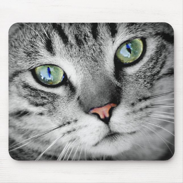 Eyes cat mouse mat (Front)