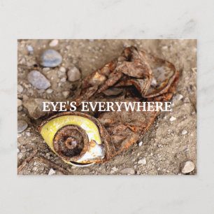 Eye's everywhere postcard