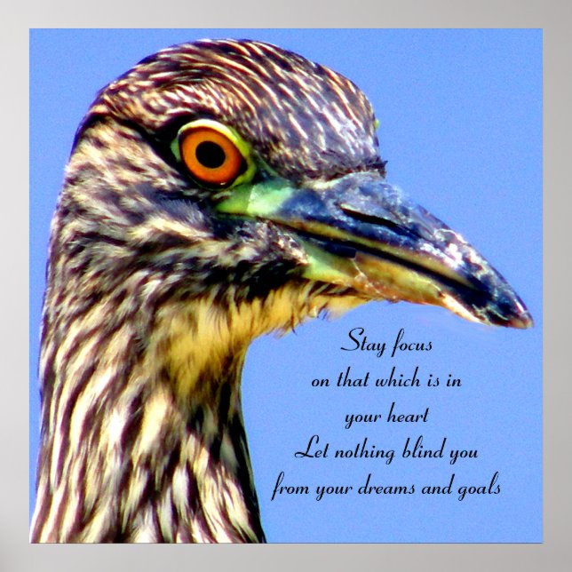 Eyes have it_ poster (Front)