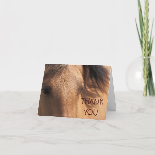 Eyes of a Brown Horse Thank You Note Card (Front)