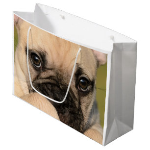 Eyes of a cute French Bulldog puppy Large Gift Bag