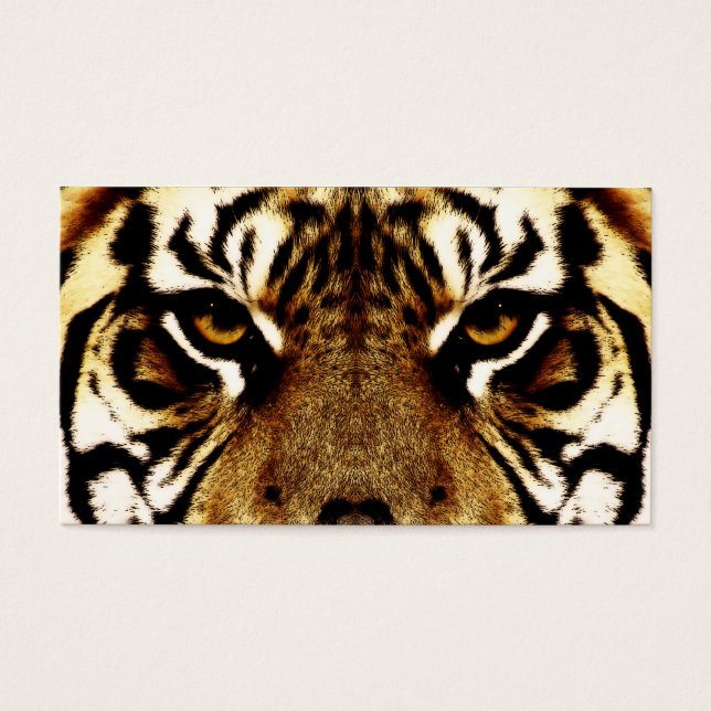 Eyes of a Tiger (Front)