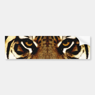 Eyes of a Tiger Bumper Sticker