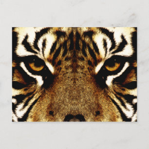 Eyes of a Tiger Postcard