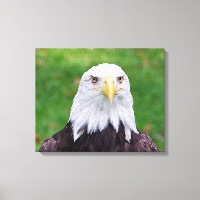 Eyes of an Eagle Canvas Print (Front)