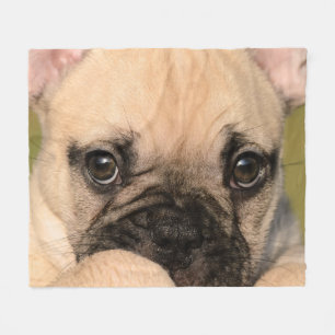 Eyes of Cute French Bulldog Puppy, comfort Fleece Blanket