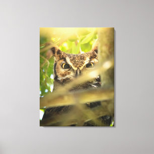 Eyes of the Forest (Great Horned Owl) Canvas Print