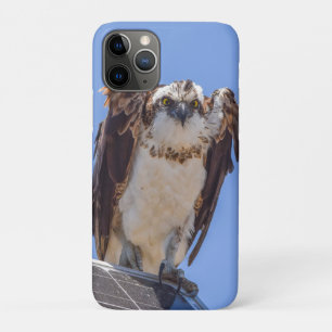 Eyes of the Osprey iPhone 11 Pro Case