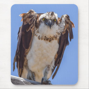 Eyes of the Osprey Mouse Mat