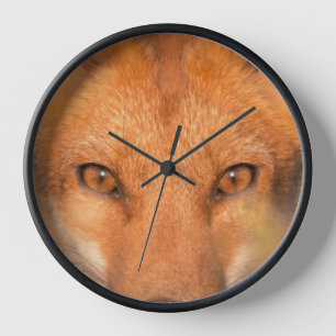 Eyes of the Wild Red Fox Wildlife Photography Clock