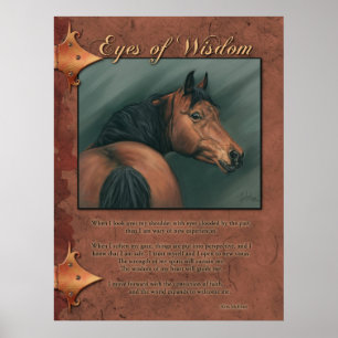 Eyes of Wisdom Poster