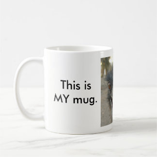 "Eyes off"  Emu mug
