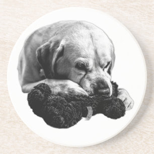 Eyes on the Prize Coaster