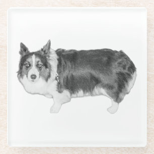 Eyes on the Snacks Glass Coaster