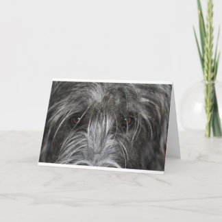 Eyes that mesmerise card