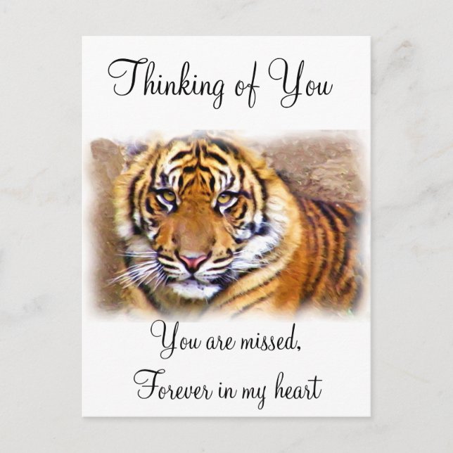 Eye's That See_ Postcard (Front)