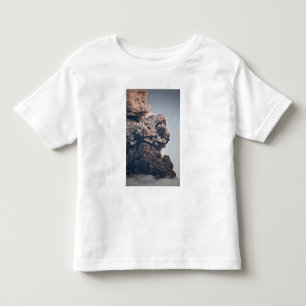 Eyjafjalljokull Volcanic Eruption Toddler T-Shirt