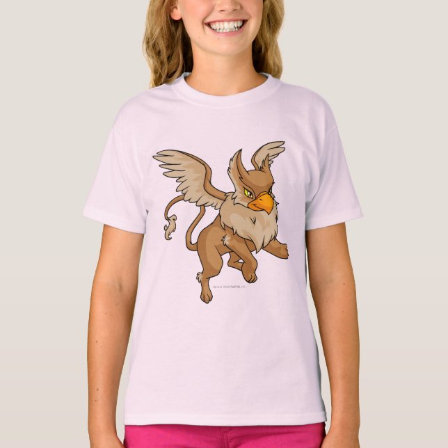 Eyrie Brown T-Shirt (Front)