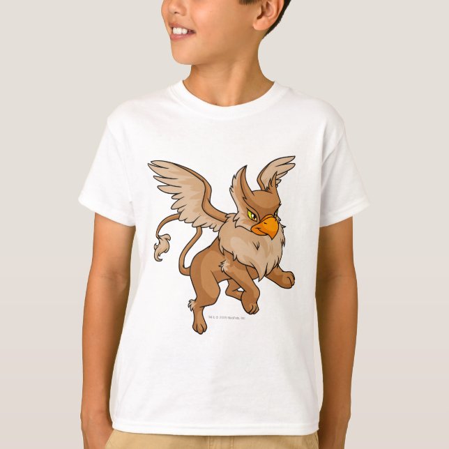 Eyrie Brown T-Shirt (Front)